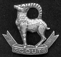 Ladakh Scouts logo